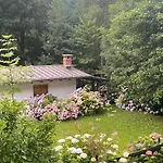 Relax, Comfort & Alps Adventures 公寓 *