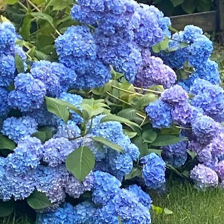 Διαμέρισμα Relax, Comfort & Alps Adventures Chiusa di Pesio