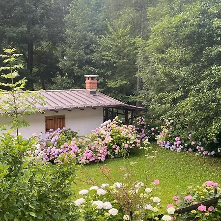 Relax, Comfort & Alps Adventures 아파트 *