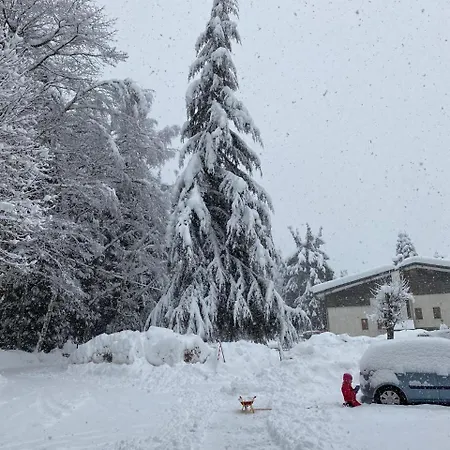 Relax, Comfort & Alps Adventures