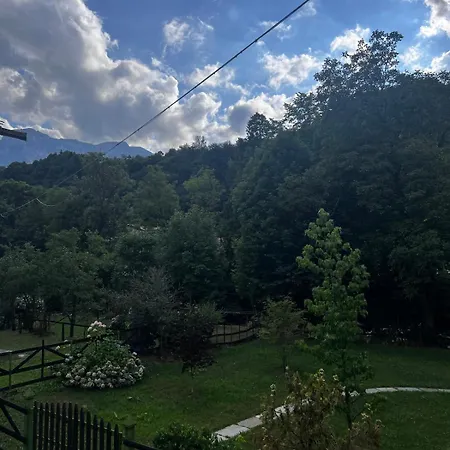 Relax, Comfort & Alps Adventures *