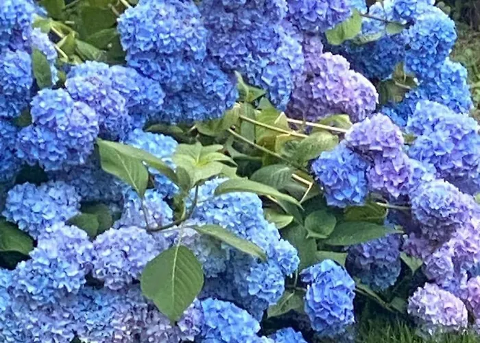 公寓 Relax, Comfort & Alps Adventures Chiusa di Pesio