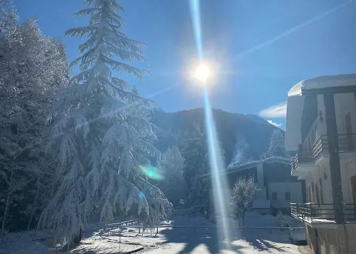 公寓 Relax, Comfort & Alps Adventures *