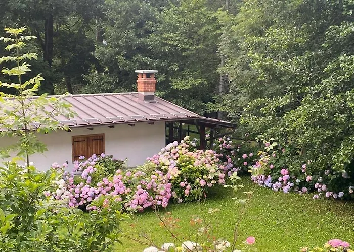 Relax, Comfort & Alps Adventures 公寓 *