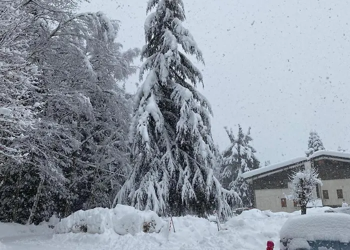 Relax, Comfort & Alps Adventures