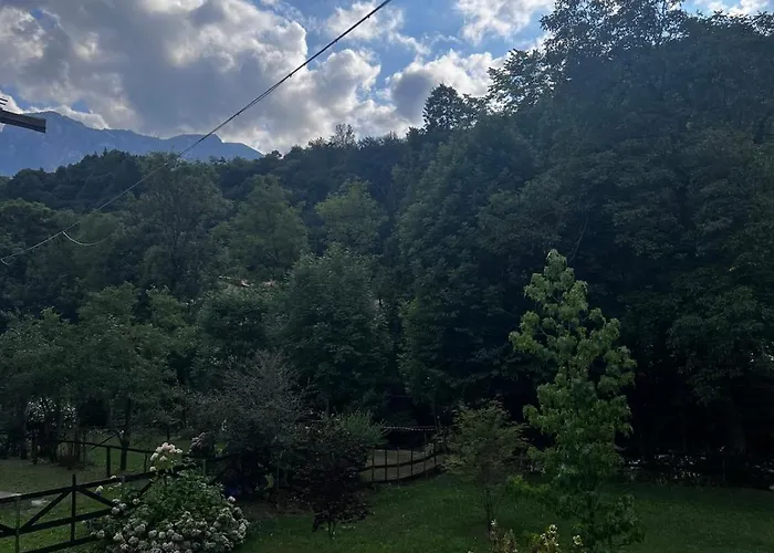 Relax, Comfort & Alps Adventures *